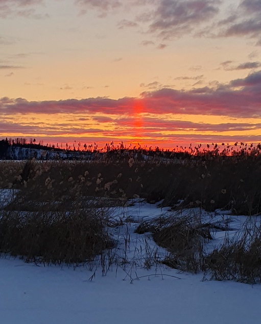 Aurinkolasku Vesijärvellä