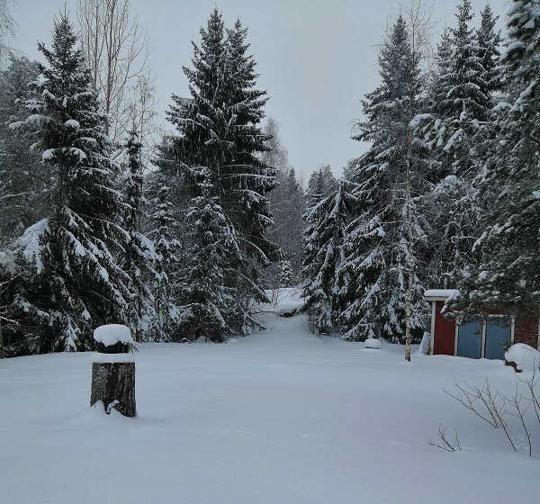 Harmaa hetki Kerttulassa