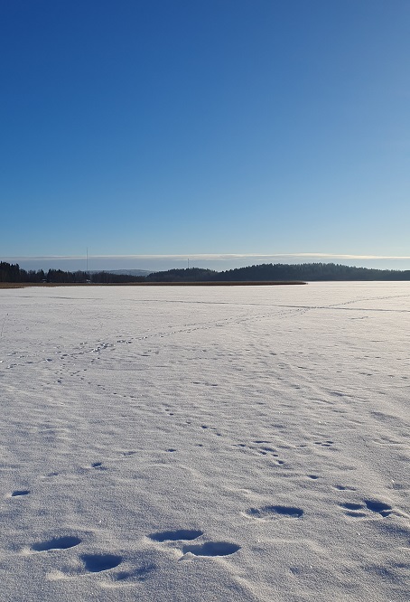 Villa Aleksin ranta ystävänpäivänä, Salpausselkä, Hollola